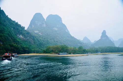 网络化全自动绿色